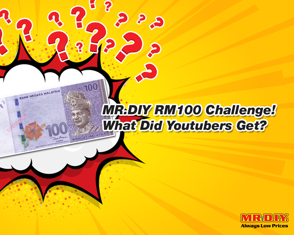 MR.DIY RM100 Challenge! What Did Youtubers Get?