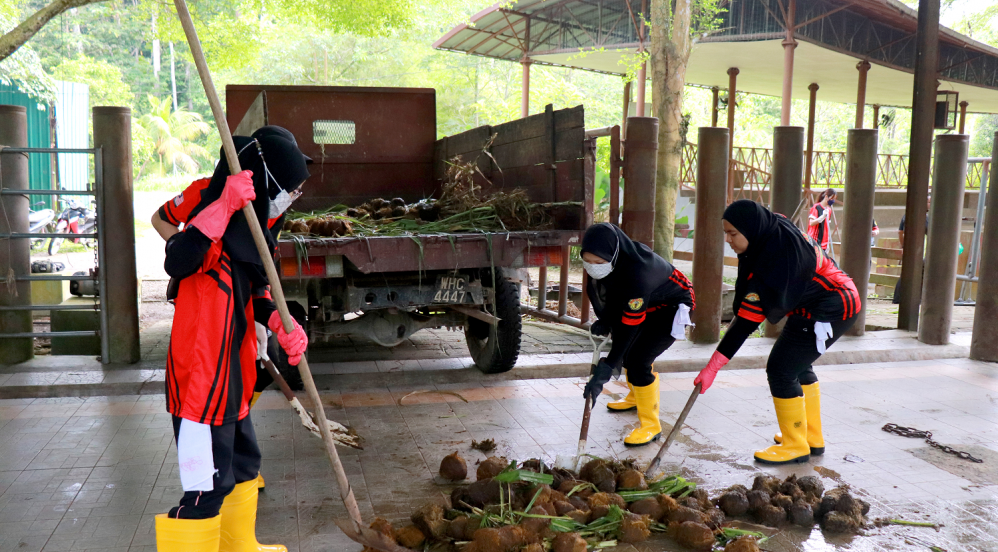 MR.DIY CSR: Kuala Gandah National Elephant Conservation Centre