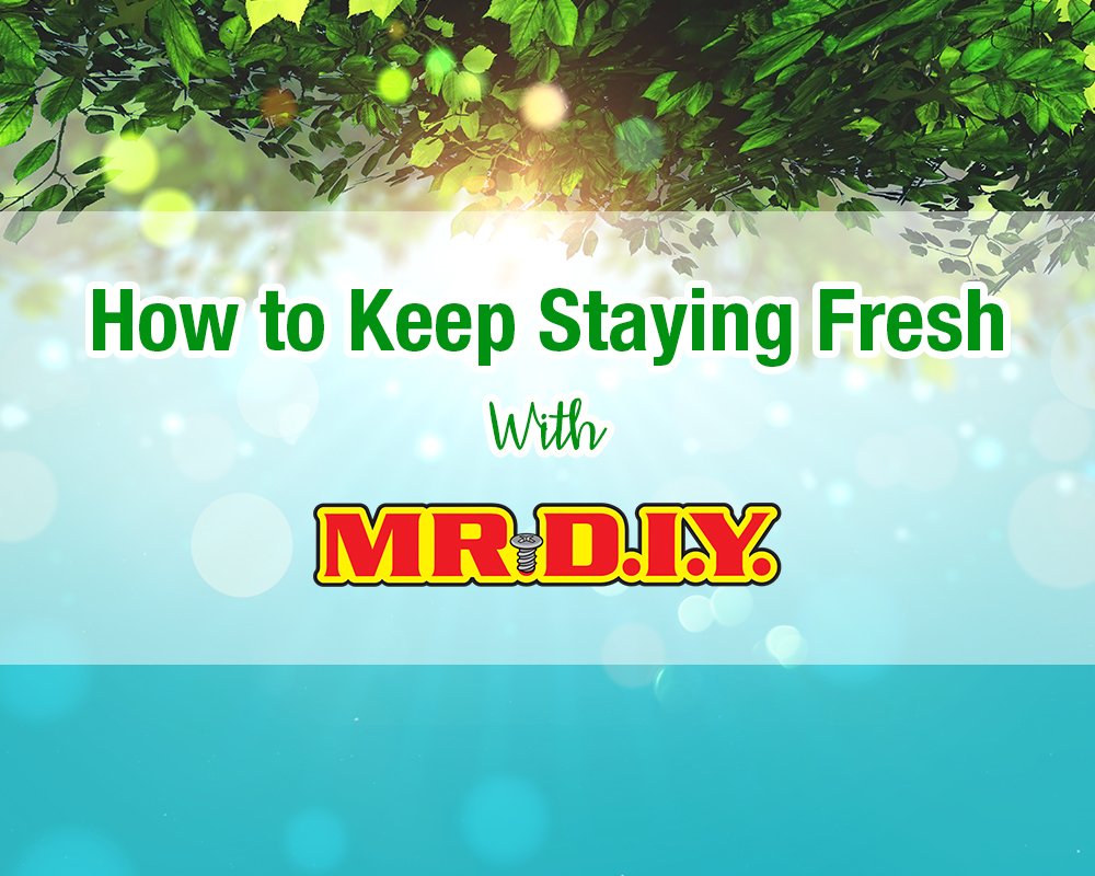 How to Keep Staying Fresh with MR.DIY