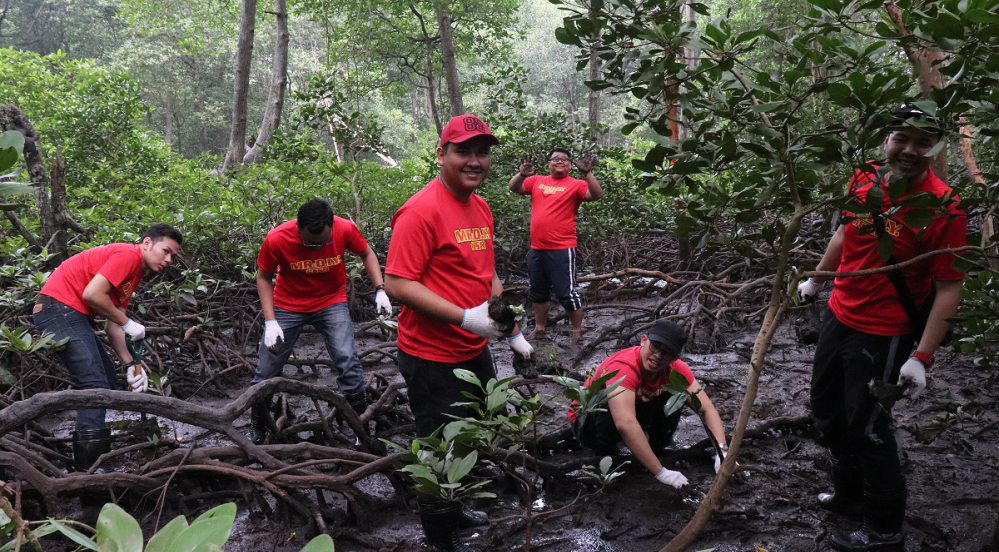 Mangrove Tree Planting CSR 2019